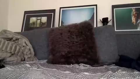 chrispanam13 online show from November 3, 12:06 pm