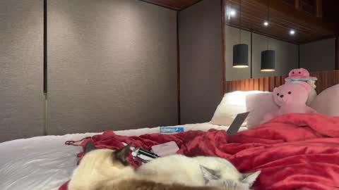 Christina Sage online show from September 18, 4:05 am