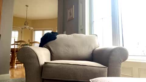 cinapw online show from December 21, 3:53 pm