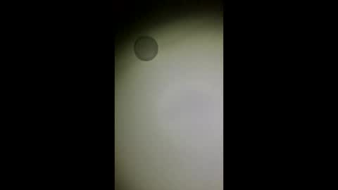 co23456 online show from December 21, 4:52 am