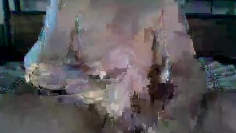 Ethan Slade online show from April 19, 11:18 pm