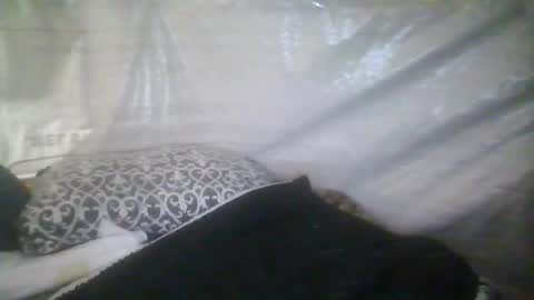 lickerpro69 online show from January 9, 12:11 pm