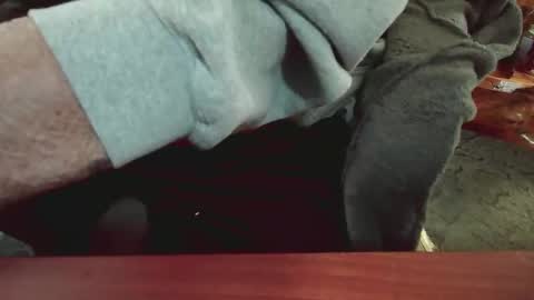 cody81421 online show from January 15, 5:47 pm