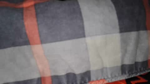 Snapshot of collegecannon chatting on December 7, 11:45 am collegecannon online show from December 7, 11:45 am