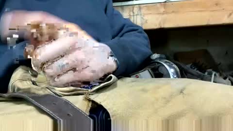 copart84 online show from December 28, 5:03 pm