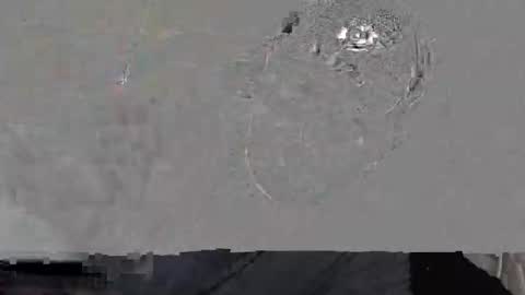 Ieathairytacos online show from March 29, 11:28 pm