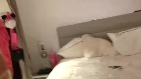 Sandra and Tom online show from February 13, 6:48 pm