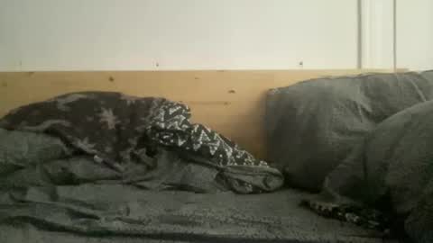 crapaud75018paris online show from February 28, 11:25 am