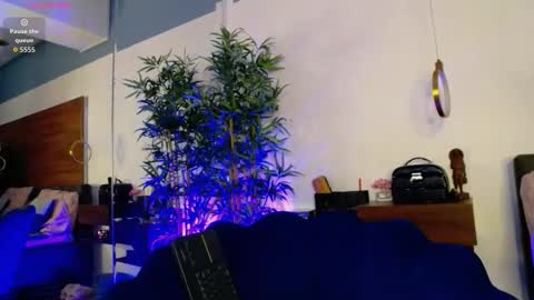 Sophie online show from January 15, 11:19 am