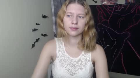 Stella online show from November 18, 7:33 am