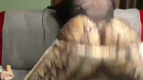 Nambuusi Irene online show from March 3, 7:15 am