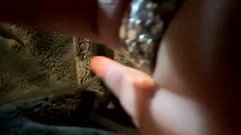 im KIM new girl to spoil online show from November 9, 7:05 pm