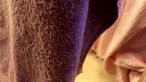 Cumprincess online show from January 17, 6:50 pm