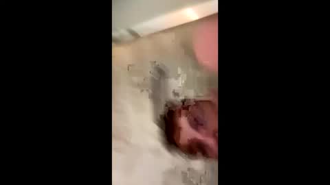 curvyd454066 online show from September 28, 4:49 pm