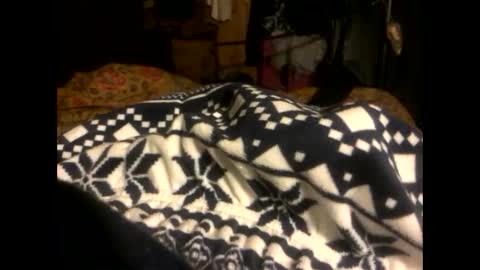 Steve online show from February 6, 7:29 pm