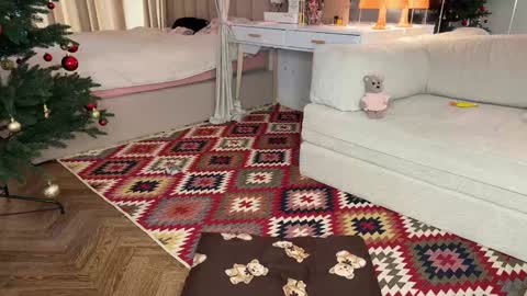 Elsa online show from December 20, 9:49 am