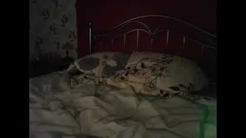 Silvia Sweetheart online show from January 15, 8:28 pm