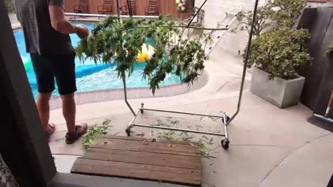 bas online show from October 3, 9:12 pm