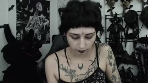dakota online show from June 12, 2:54 am