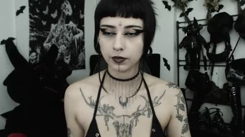 dakota online show from July 4, 2:26 am