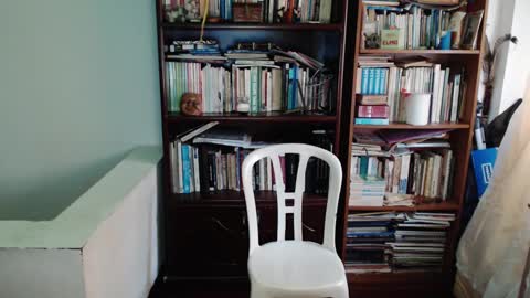 JamesDali online show from February 8, 11:33 am