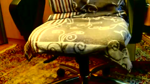 Dammerl online show from January 15, 8:20 am