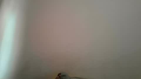 DANIEL online show from March 11, 1:25 pm