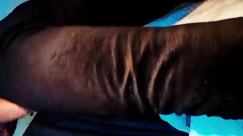 dandeb online show from November 22, 10:13 am