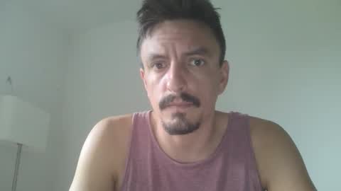 Dany online show from September 10, 11:00 am