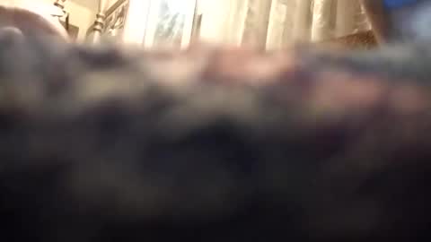 dannowisc online show from March 15, 11:46 am