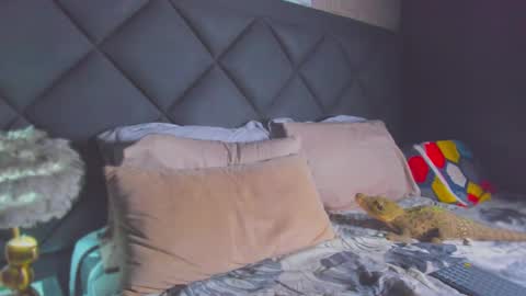 Dany online show from November 22, 1:04 am