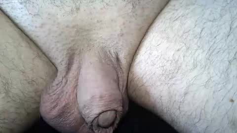 dapppper online show from June 6, 2:56 pm