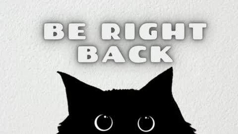 darienlarge online show from January 13, 5:54 pm