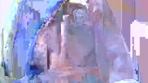 dxd69 online show from January 11, 11:49 am