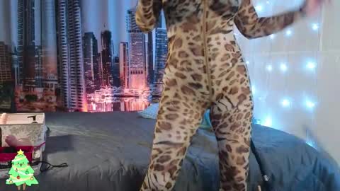 DashaHart online show from December 13, 7:53 pm