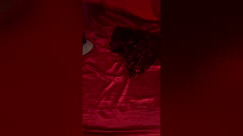 daturasgarden online show from June 29, 5:04 am