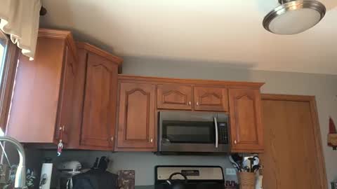 davecock50 online show from February 25, 5:08 pm