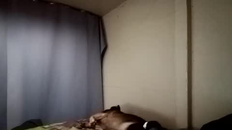 Snapshot of davidjose1995 chatting on December 11, 4:18 am Juice cock online show from December 11, 4:18 am