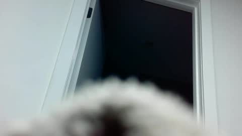 Davvyd online show from September 18, 4:33 pm