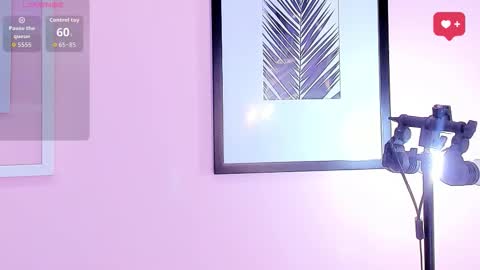 Dayan  online show from December 20, 7:21 pm