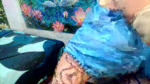 debrastephens online show from May 29, 11:19 am