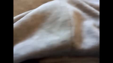 deliv_shopi online show from February 22, 2:52 pm