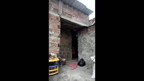 DerekWard online show from January 19, 2:16 pm