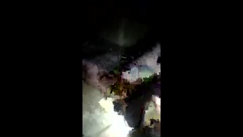 22zdenio22 online show from December 31, 12:43 am