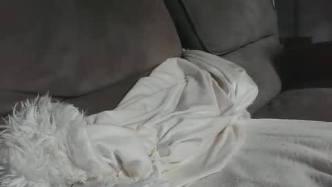 dick online show from October 25, 12:04 pm