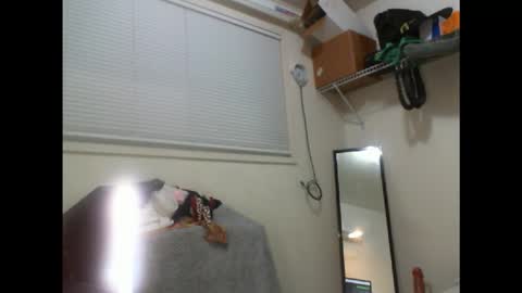 Dinkdork just having a good time online show from February 13, 4:16 am