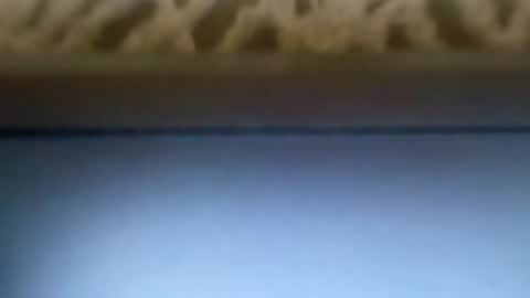 free4fun online show from April 9, 6:30 am