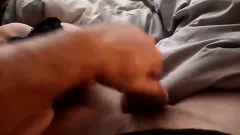 Snapshot of distruct6969 chatting on October 28, 11:55 am distruct6969 online show from October 28, 11:55 am