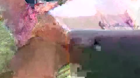 dog31337 online show from February 23, 1:13 pm