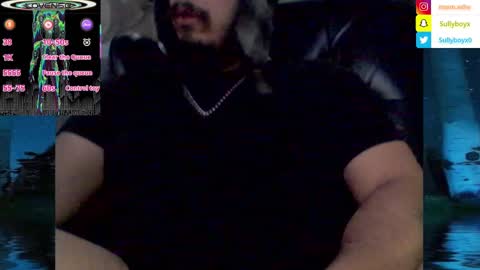 Snapshot of domanarchist chatting on January 30, 6:13 am Sullyboyx online show from January 30, 6:13 am